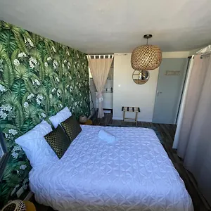  Appartement A Louer T2